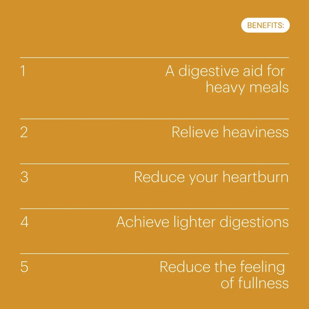 Be Levels Gut Day – Digestive Rescue Supplement with NAC, Turmeric, Ginger, Bromelain, Zinc & Vitamin A – Fast Relief for Bloating & Reflux - END Nutrition