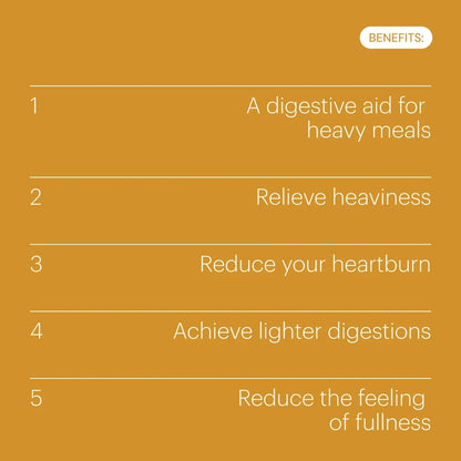 Be Levels Gut Day – Digestive Rescue Supplement with NAC, Turmeric, Ginger, Bromelain, Zinc & Vitamin A – Fast Relief for Bloating & Reflux - END Nutrition