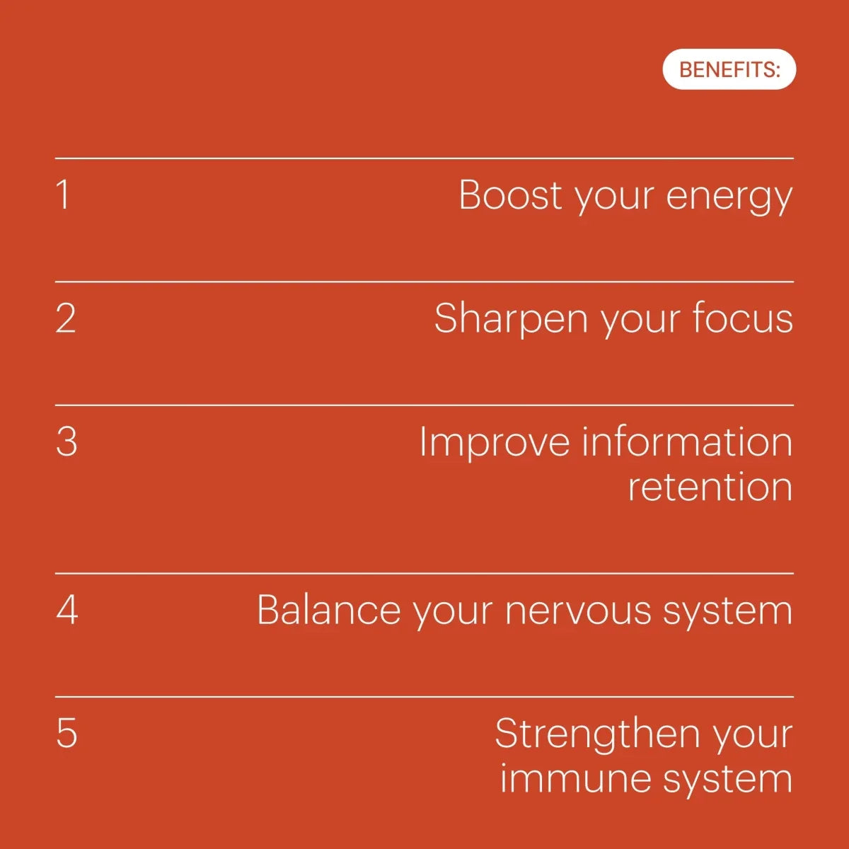 Be Levels Wake Up Mood – Monodosis – 3 Caps – Energy, Focus & Mood Support – Vegan Formula - END Nutrition
